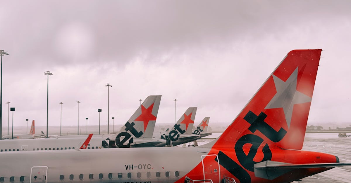 Case Studies: Successful Recycling Programmes in Melbourne Businesses