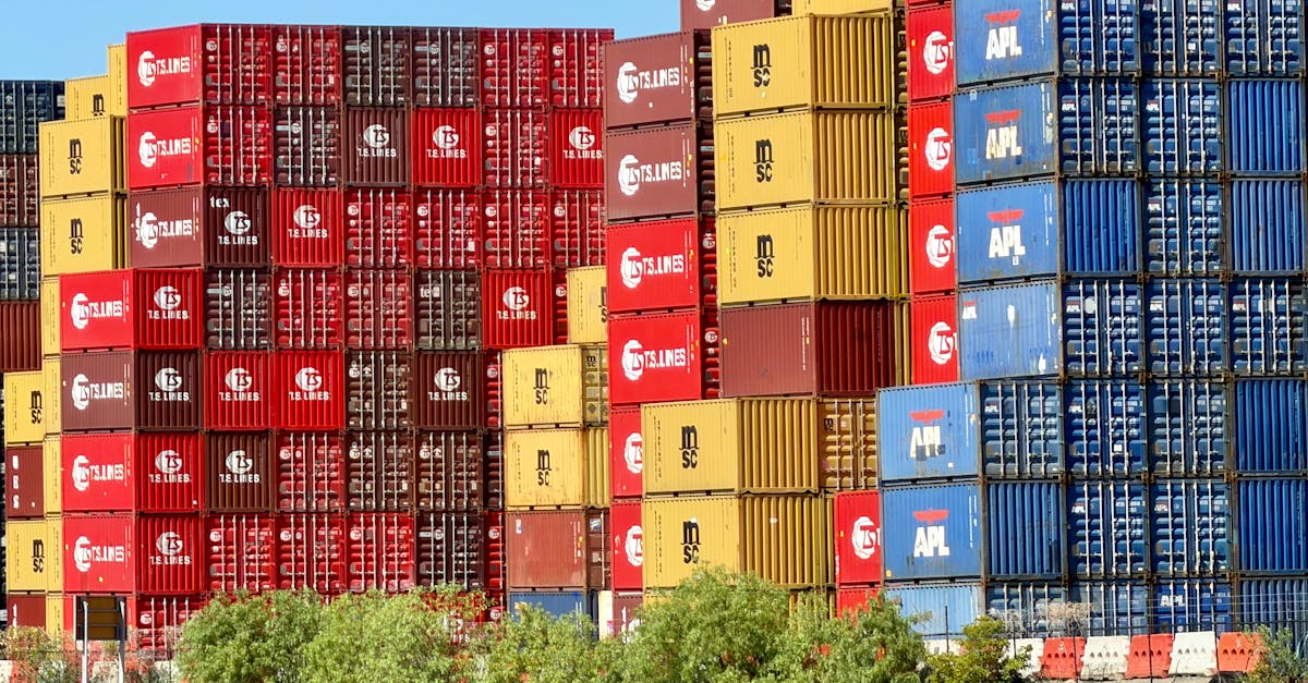 How to Identify Hazardous Materials in Your Home