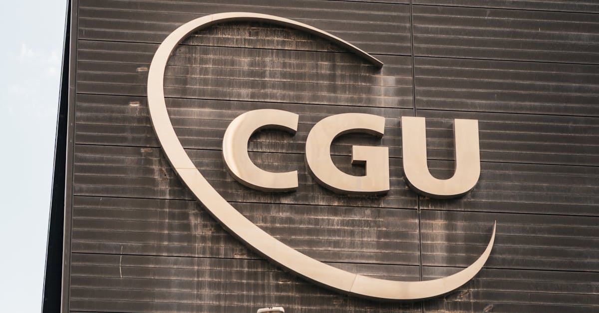 How to Implement Effective Recycling Initiatives in Your Business