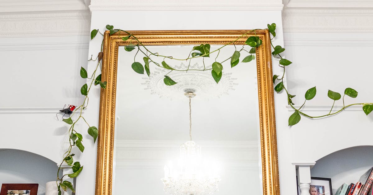 How to Prepare Your Furniture for Removal Day