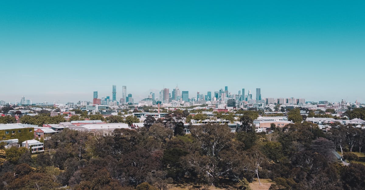 Innovative Techniques for Eco-Friendly Junk Removal in Melbourne