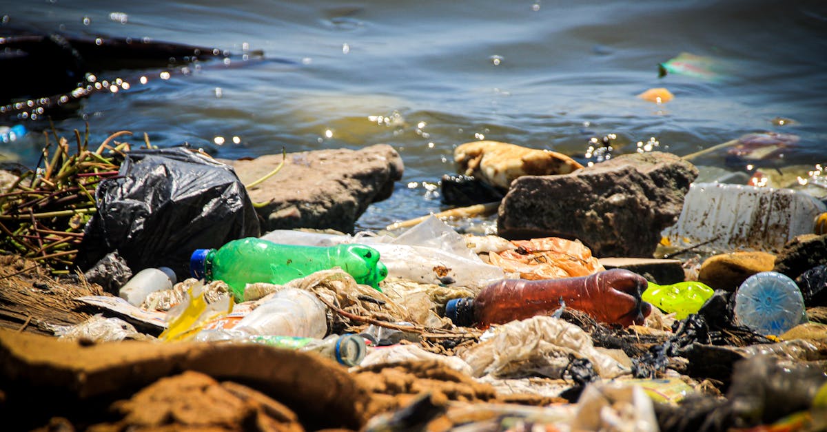 Organising Community Clean-Ups for a Greener Future