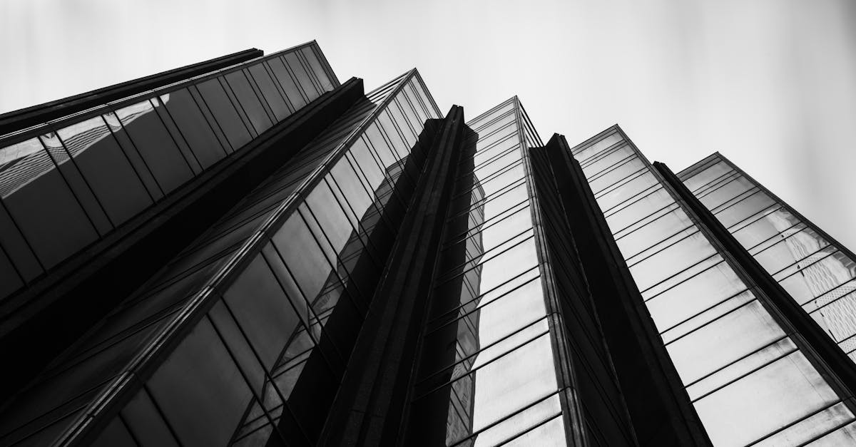 Safe Disposal Methods for Household Hazardous Materials