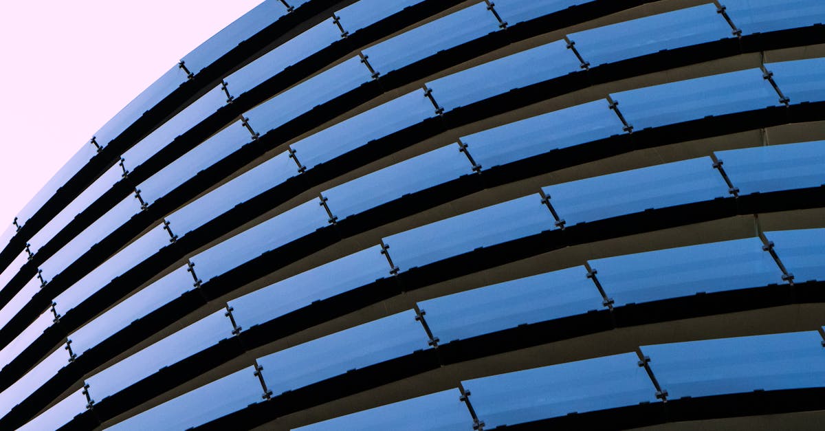 Seasonal Garden Clean-Up: Tips for Responsible Waste Management