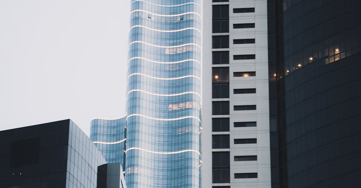 Strategies for Minimising Environmental Impact during Junk Clearance