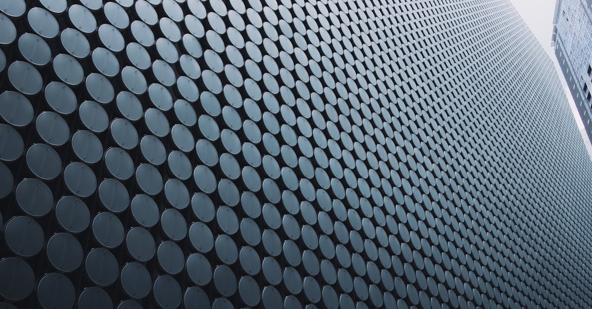 The Benefits of Professional Garden Waste Removal Services