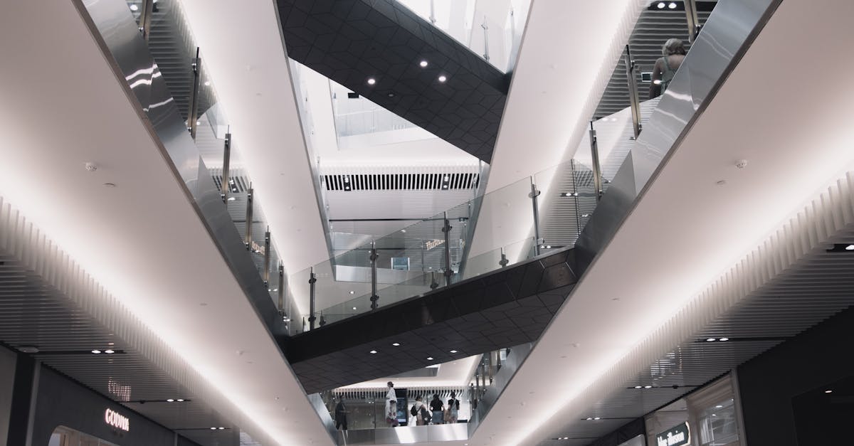 The Future of Green Disposal Methods in the Junk Removal Industry