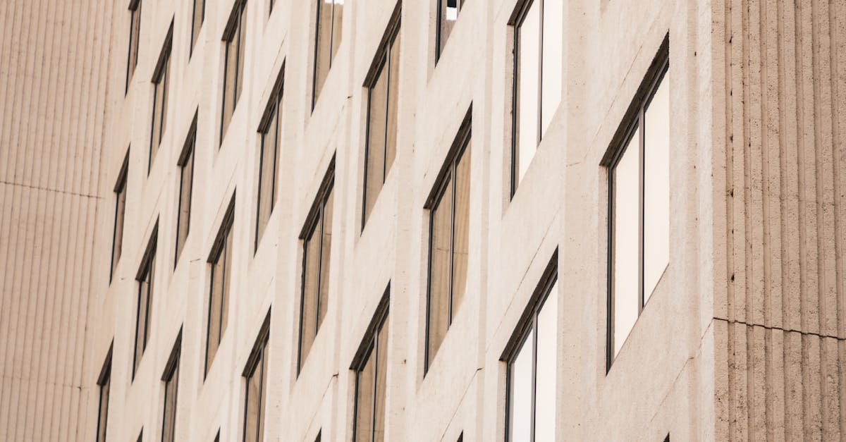 The Ultimate Guide to Garage Cleanouts for Melbourne Residents